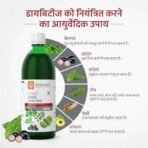 KRISHNA'S HERBAL & AYURVEDA Diabic Care Juice - 2000 Ml-Super Saver Pack | Blend Of 11 Herbs Methi, Amla, Karela, Jamun, Kutki, Guduchi & 5 Other Herbs To Manage Sugar Levels | Made In India - Fast UK Delivery - Image 5