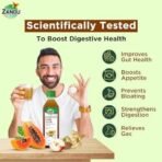 Zandu Digestive Care Juice 500g - Image 5