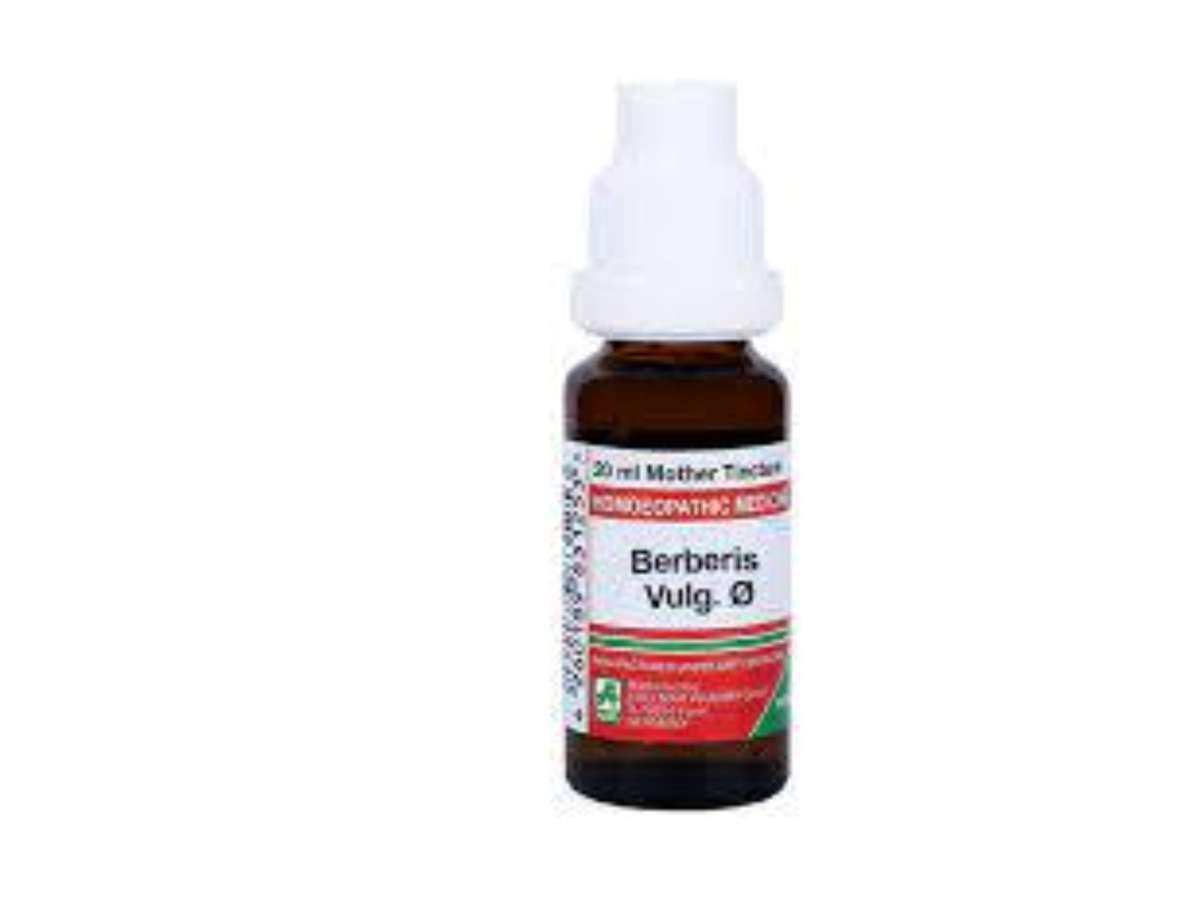 uk51pXCOhehGL-1.jpg ADEL Berberis Vulgaris Q 20ml (Pack of 2) - Fast UK Delivery - Image 1