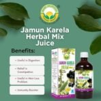 BASIC AYURVEDA Jamun Karela Herbal Mix Juice 1L Helps Control Blood Sugar Level and Lower Bad Cholesterol - Fast UK Delivery - Image 4