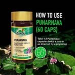 Zandu Punarnava Capsules, With Goodness of Natural Punarnava Extract known for Good Gut Health & for Healthy Appetite, Helps for Heart and Urinary Health - 60 Veg capsules - Fast UK Delivery - Image 6