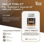 Holy Natural Amla Tablet - 120 tab | Indian Gooseberry, Amlakai | Dietary Supplement, Rich Source of Vitamin C | Help in Immunity Boost & Improve Digestion health - Image 4