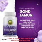 Basic Ayurveda Gond Jamun (Indian Balck Berry Gum) |A Botanical Gum Boost immunity, Regulate Blood Sugar Levels, Enhance Digestion, A Holistic Approach To Well-Being- 60 Gm (Pack Of 1) - Fast UK Delivery - Image 5