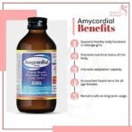 AIMIL Amycordial Syrup, Nourishment Health Tonic for Women|Effectively Maintains and Nourishes the Female System|Also Supports Healthy Body Functions in Teenage Girls | 200 ML - Fast UK Delivery - Image 3