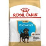 Royal Canin Rottweiler Junior Pellet Dog Food, Variety flavour, 3 Kg - Fast UK Delivery