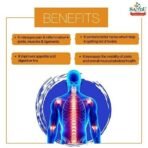 Sandu Pharmaceuticals Ltd Maharasnadi Kadha - Ayurvedic Muscle Tonic (200 Ml) - Fast UK Delivery - Image 5