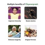 Kerala Ayurveda Original Chyavanprash for Enhanced Immunity - 500 gm | Builds Strength & Enhances Longevity | Enriched With Wild Amla, Raisins, Ashwagandha Shatavari & Giloy | No Artificial Sugars - Fast UK Delivery - Image 5