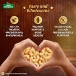 Tata Sampann Classic Salted & Roasted Cashews | Flavourful & Crunchy Snack | Handpicked, Salted & Slow Roasted Cashews | Rich in Protein, Magnesium, and Phosphorus | No Artificial Colours, Preservatives & Flavours | 190g - Fast UK Delivery - Image 7