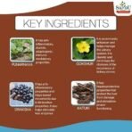 Sandu Pharmaceuticals Ltd Punarnavasav | Ayurvedic Tonic for Liver, Kidney & Urinary Disorders (200 ml) - Fast UK Delivery - Image 4