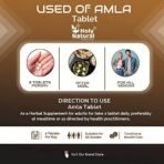 Holy Natural Amla Tablet - 120 tab | Indian Gooseberry, Amlakai | Dietary Supplement, Rich Source of Vitamin C | Help in Immunity Boost & Improve Digestion health - Image 6