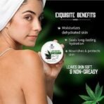 Aimil Ayouthveda Hemp Seed Body Yogurt for All Skin Types | Light Weighted & Quick Absorbing moisturiser | Non-greasy Formula | Keeps Skin Hydrated & Nourished | Long lasting Hydration (200g) - Image 6
