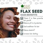 Bliss of Earth Organic Flax Seeds, 600g Pack, Raw Whole Flaxseed for Cooking and Baking, High in Omega-3 Fatty Acids, Gluten-Free, Non-GMO, Rich Source of Fiber and Protein, Superfood for Health - Fast UK Delivery - Image 6