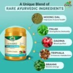 Zandu Seniorz Daily Health Booster Drink, 500G, Helps Boost Energy, Strengthen Immunity & Improve Digestion| 100% Ayurvedic & Natural Health Drink, Enriched with Moong Protein - Fast UK Delivery - Image 5
