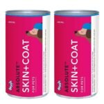 Drools Absolute Skin + Coat Syrup Dog Supplement 300ml (Pack of 2) - Fast UK Delivery