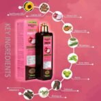 Panchvati Herbals Onion Hair Oil with Onion & Fenugreek Hair Shampoo nourishes strong and healthy hair 400 ml - Fast UK Delivery - Image 6