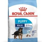 Royal Canin Dry Dog Food Maxi Puppy, Meat Flavour, 4 kg - Fast UK Delivery