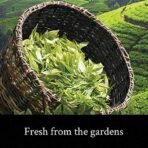 Teamonk Sozen High Mountain Orange Fruit Green Tea Leaves (50 Cups) - 100 g. rich in Vitamin C, helps detox and High in Antioxidant - Fast Shipping to USA & Canada - Image 5