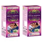 Herbal Canada Giloy papita Swaras 500 ml | Enriched with aloevera,tulsi -(pack of 2)- Boosts immunity,cough & cold,sneezing, fever,infection,Highly beneficial for high blood pressure patients - Fast UK Delivery