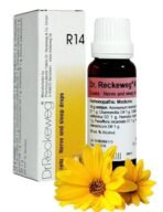 Dr Reckeweg R14 Homeopathic Medicine (22ml) Orignal_Imported - Fast UK Delivery
