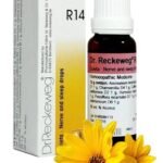 Dr Reckeweg R14 Homeopathic Medicine (22ml) Orignal_Imported - Fast UK Delivery