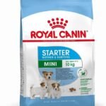 Royal Canin Adult & Baby Mini Starter Pellet Dog Food, Meat flavour, 4 Kg - Fast UK Delivery