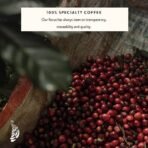 Blue Tokai Coffee Roasters Dhak Blend - Dark Roast (French Press Grind) 250g | Made With 100% Specialty Grade Arabica Freshly Roasted Ground Coffee, Bag - Fast UK Delivery - Image 6