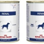 Royal Canin Veterinary Diet Renal Dog Can 410 g (Pack of 2) - Fast UK Delivery