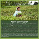 Octavius Marigold and Lemon grass Loose Leaf Green Tea - 100 Gms - Fast UK Delivery - Image 7