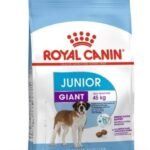 Royal Canin Giant Junior Dry Dog Food, Chicken, 3.5 Kg, 1 Count - Fast UK Delivery