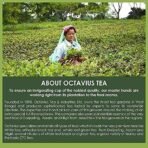 Octavius Moringa, Tulsi & Mint Green tea - 75 Gms (35 Cups) | Superior Loose leafs Tea with All Natural Immune Boosting Herbs | Rich in Antioxidants | No artificial flavors | Refreshing Detox Tea - Fast UK Delivery - Image 6