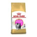 Royal Canin Persian Kitten Dry Cat Food, Chicken, 2 Kg - Fast UK Delivery