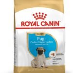 Royal Canin Pug Junior Pellet Dog Food, Variety flavour, 1.5kg - Fast UK Delivery