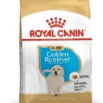 Royal Canin Golden Retriever Puppy Pellet Young Dog Food, Meat flavour, 1000g - Fast UK Delivery