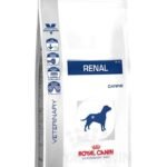 Royal Canin Renal Dog, 7 kg - Fast UK Delivery