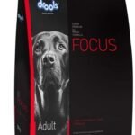Drools Focus Premium Adult Dry Dog Food, Chicken Flavor 8 kg Pack - Fast UK Delivery