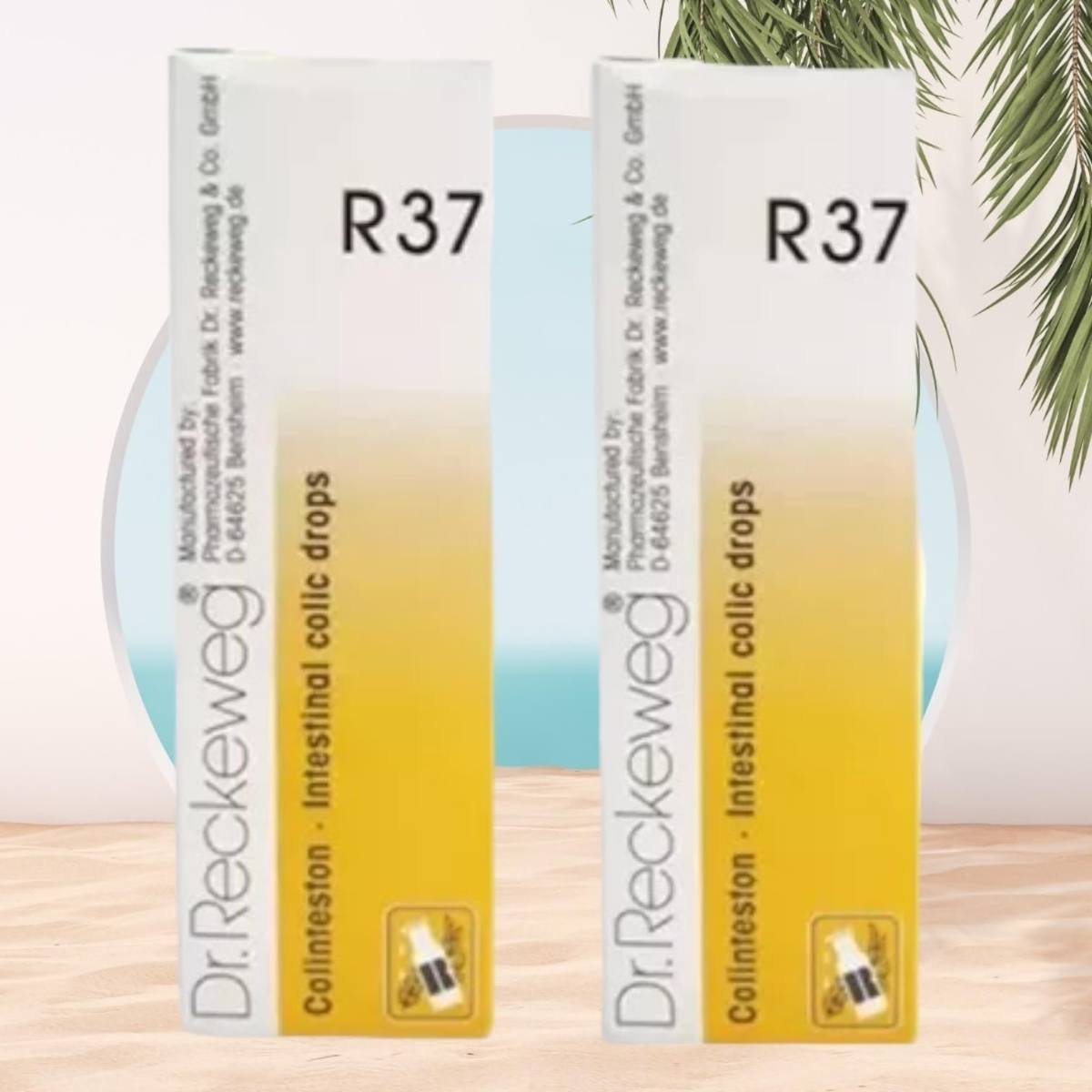 uk61qlfuKeUhL-1.jpg Dr Reckeweg R37 Homeopathic Medicine Colinteston - Homeopathic Medicine 22ml, Pack of 2 - Fast UK Delivery - Image 1