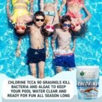 Bliss of Earth Japanese Chlorine Powder for Pool, Clean & Clear Swimming Pool, Kills Bacteria & Stops Algae, Pool Disinfectant Granular Chlorine, 453g - Fast UK Delivery - Image 7