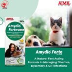AIMIL Amydio Forte Pet Liquid | Herbal Medicine for Diarrhoea, Dysentery & GIT Infections for Dogs & Cats | 200ml - Fast UK Delivery
