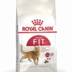 Royal Canin Fit 32 Adult Cats, Dry, Chicken, Non Vegetarian,Pack of 1 - Fast UK Delivery