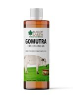 Bliss of Earth Gomutra Desi Cow Urine Original, Gomutra ARK Distilled For Drinking, Plants & Pooja 400ml - Fast UK Delivery