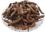 Divesh Store Maror Phali 200Grm - Helicteres Isora - Maror Phal - Jonka Phal - Melikayalu - Lalparnni - Bhura - Avaitini Screw Beans - Fast UK Delivery