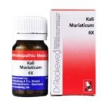 Dr Reckeweg Kali muriaticum 6x 20 gm Pack of 2 - Fast UK Delivery