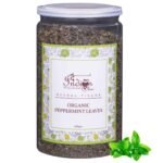 The Indian Chai Organic Peppermint Tea Loose Leaves Herbal Tea In Airtight Jar 100 Gram (Pack Of 1) - Fast UK Delivery
