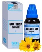 SBL Guatteria Gaumeri Mother Tincture Q (30ml) - Set of 1 Bottle - Fast UK Delivery