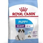 Royal Canin Pellet Giant Puppy Dog Food, Meat Flavour, 15 Kg - Fast UK Delivery