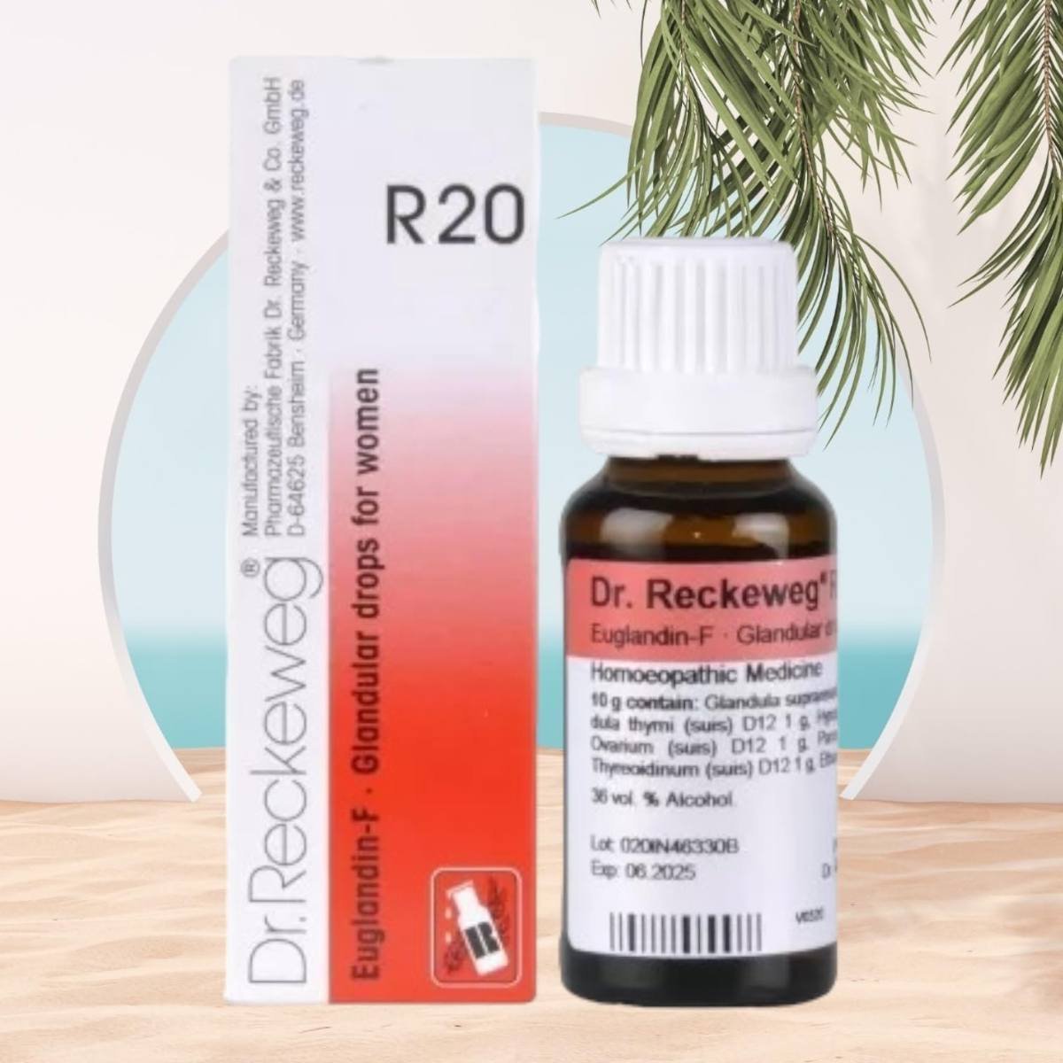 uk71MTMuI7qfL-1.jpg Dr Reckeweg R20 Homeopathic Medicine Euglandin-F - 22ml Original_Imported - Fast UK Delivery - Image 1