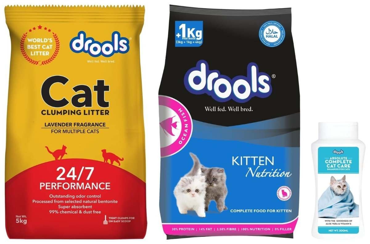 uk71Snc4hHXTL-1.jpg Drools Kitten, Ocean Fish - 4kg (3kg + 1kg Free Food Inside) & Drools Clumping Lavender Fragrance Cat Litter (for Multiple Cats), 5kg & Drools Complete Cat Care Shampoo, 200ml - Fast UK Delivery - Image 1