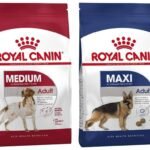 Royal Canin Medium Adult, 4 kg&Royal Canin Maxi Pellet Adult Dog Food, Meat Flavour, 1 kg - Fast UK Delivery