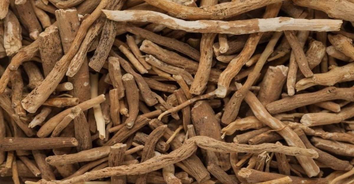 uk71bHLqCv5KL-1.jpg Divesh Store Ashwagandha Root 100 Grm - Ashwagandha - Indian Ginseng - Withania Somnifera - Ashwagandh - Fast UK Delivery - Image 1
