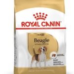 Royal Canin Pellet Beagle Adult Dog Food, Meat Flavour, 3 KG - Fast UK Delivery